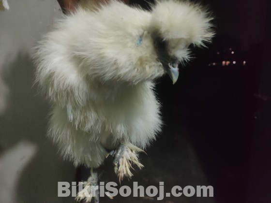টপ কোয়ালিটি এক সেট সিল্কি